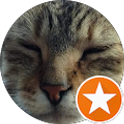 Profile photo of Connor O