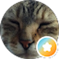 Profile photo of Connor O