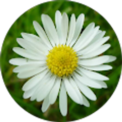 Profile photo of Tamara White