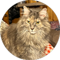 Profile photo of Carol Remmick