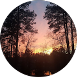 Profile photo of Ayo Akinlabi