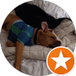 Profile photo of Rob Scholz