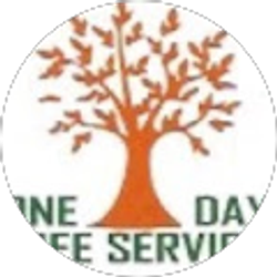 Profile photo of One Day Tree & Landscape