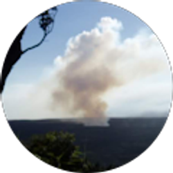 Profile photo of John Lopes