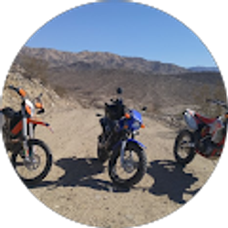 Profile photo of M Montalvo