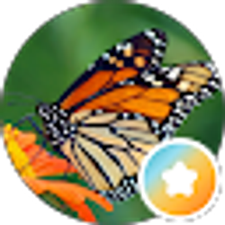 Profile photo of Nannette Diaz