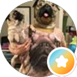 Profile photo of Alice Brocato