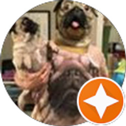 Profile photo of Alice Brocato