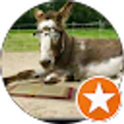 Profile photo of Ann Nonymus