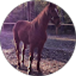 Profile photo of Baylee Breeland