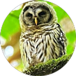 Profile photo of Meg Schmidt