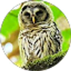 Profile photo of Meg Schmidt