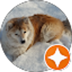 Profile photo of Bill Thompson