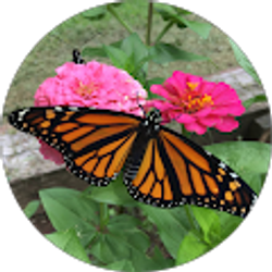 Profile photo of A H