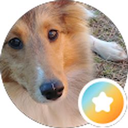 Profile photo of cameliasjourney