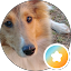 Profile photo of cameliasjourney