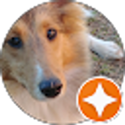 Profile photo of cameliasjourney