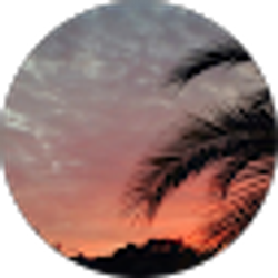Profile photo of Maritsa Vargas
