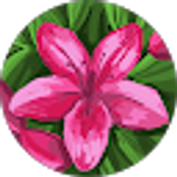 Profile photo of Destiny Bryant