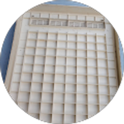 Profile photo of Phil Darby