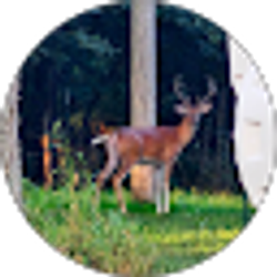 Profile photo of Robert Flinchbaugh