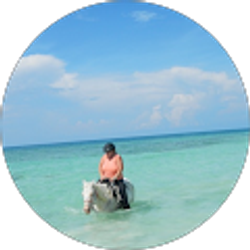 Profile photo of Karen Provenzano