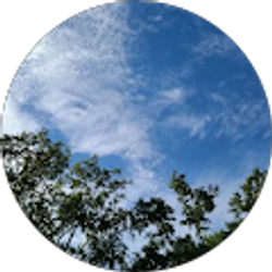 Profile photo of L M