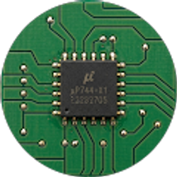 Profile photo of A lil birdie Toldme