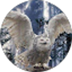 Profile photo of Onnalee