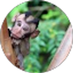 Profile photo of Greg Carter