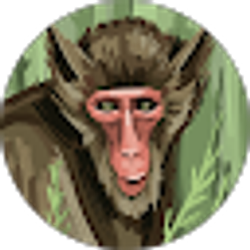 Profile photo of Gunner Savell