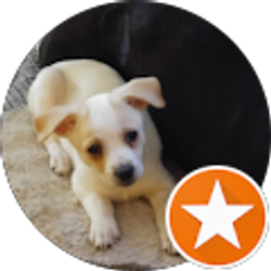 Profile photo of Laura Mccauley