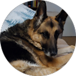 Profile photo of Daniel Larose