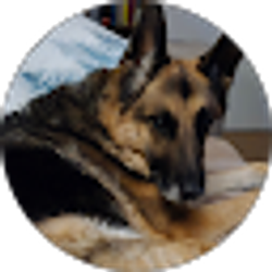 Profile photo of Daniel Larose
