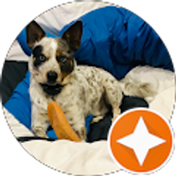 Profile photo of Damnit Hankk