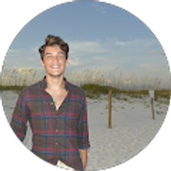 Profile photo of David C