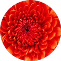 Profile photo of Kimberly Martinez