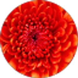 Profile photo of Kimberly Martinez