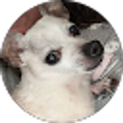 Profile photo of Dawn