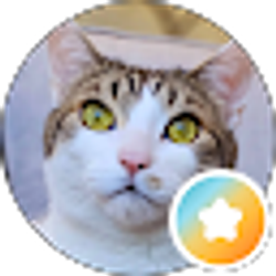 Profile photo of M V