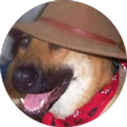 Profile photo of Jennifer Thorsen