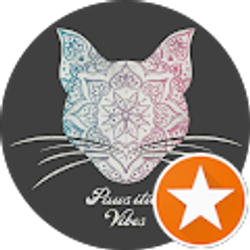 Profile photo of Erin Vaughn