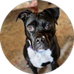 Profile photo of Deirdre Carr