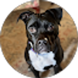 Profile photo of Deirdre Carr