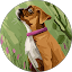 Profile photo of Valen Bevans