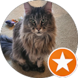 Profile photo of Lisa