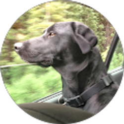 Profile photo of Heather Greene