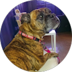 Profile photo of Holly Minarik