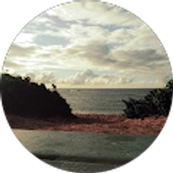 Profile photo of Nick