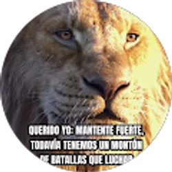Profile photo of Lide Moreno